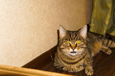 Similar image 21674404