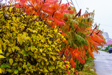 Similar image 21674407