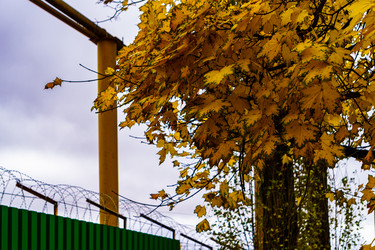 Similar image 21674408