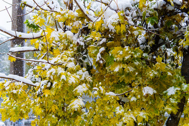 Similar image 21675140