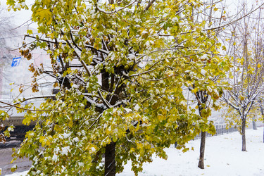 Similar image 21675152