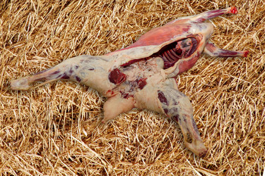 Similar image 21678028