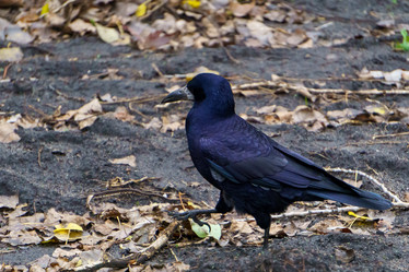 Similar image 21678030