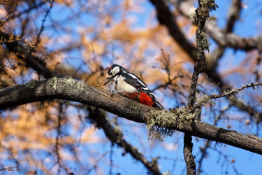 Similar image 21673344