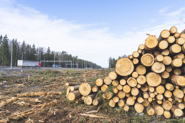 Similar image 21674678