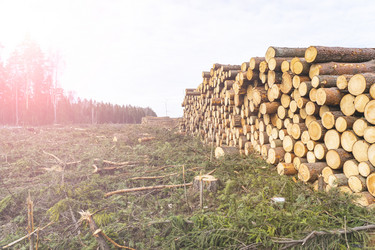 Similar image 21674682