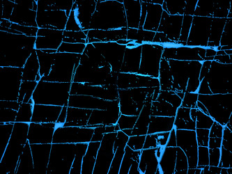 Similar image 21673449