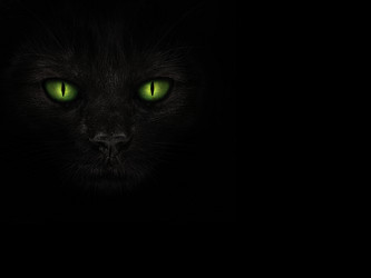 Similar image 21673556