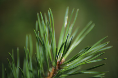 Similar image 21674411