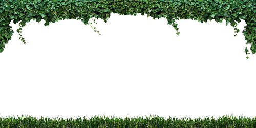 Similar image 21673564