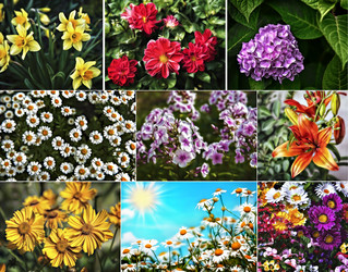 Similar image 21673568