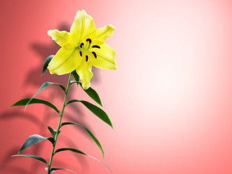 Similar image 21673570