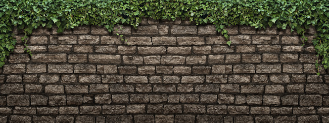 Similar image 21673571