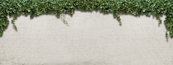 Similar image 21673573