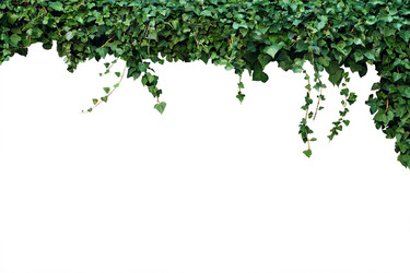 Similar image 21673575