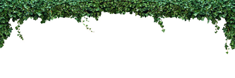 Similar image 21673579