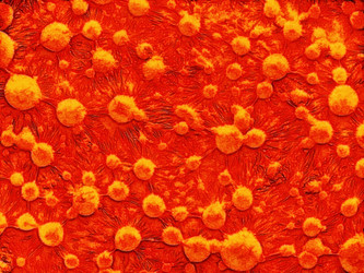 Similar image 21673583