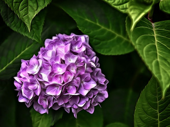 Similar image 21673588