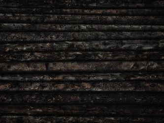 Similar image 21673596