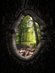 Similar image 21673598