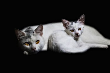 Similar image 21673599