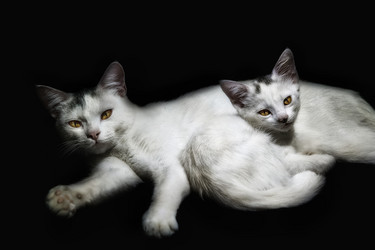 Similar image 21673601