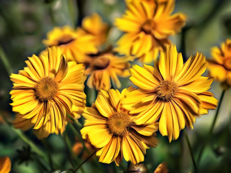 Similar image 21673603