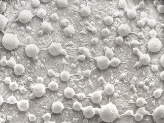 Similar image 21673606