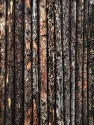 Similar image 21673609