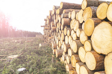 Similar image 21674683