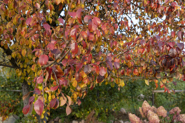 Similar image 21674686