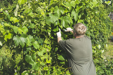 Similar image 21674688