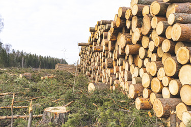 Similar image 21674689