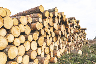 Similar image 21674690