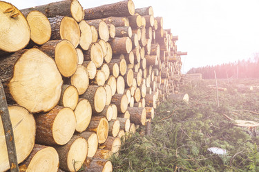 Similar image 21674692