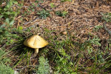 Similar image 21673396