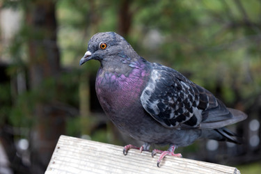 Similar image 21673397