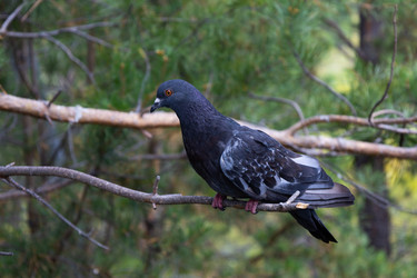 Similar image 21673398