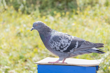 Similar image 21673399