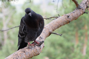 Similar image 21673400