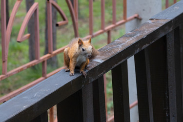 Similar image 21673401