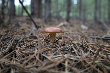 Similar image 21673403