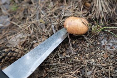 Similar image 21673404