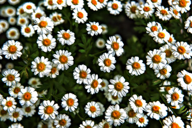 Similar image 21673620