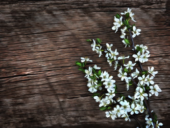 Similar image 21673409