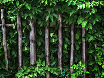 Similar image 21673411