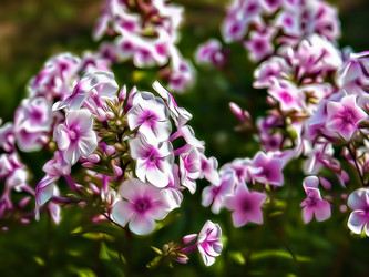 Similar image 21673412