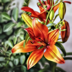 Similar image 21673413