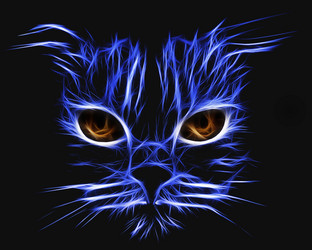 Similar image 21673418