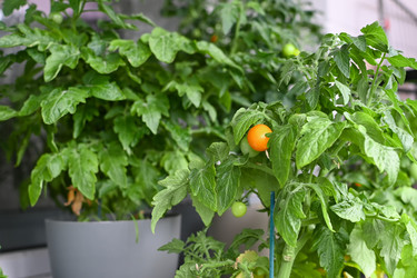 Similar image 21679631